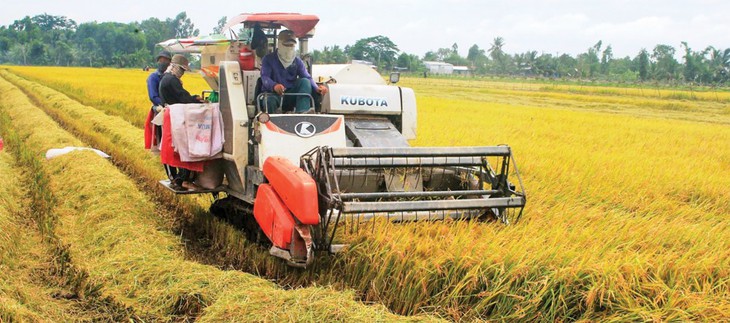 Nghiêm cấm các hành vi “bảo kê, làm giá” máy gặt lúa - Ảnh 1.