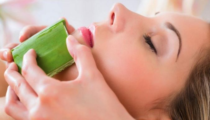 Lô hội – đẹp da, thanh nhiệt, nhuận tràng - Ảnh 3.