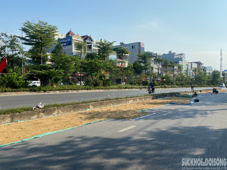 Người dân "tùy tiện" phơi thóc lúa trên đường, tiềm ẩn nhiều nguy hiểm - Ảnh 3. Người dân "tùy tiện" phơi thóc lúa trên đường, tiềm ẩn nhiều nguy hiểm - Ảnh 3.