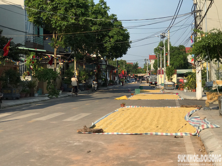Người dân "tùy tiện" phơi thóc lúa trên đường, tiềm ẩn nhiều nguy hiểm - Ảnh 6. Người dân "tùy tiện" phơi thóc lúa trên đường, tiềm ẩn nhiều nguy hiểm - Ảnh 6.