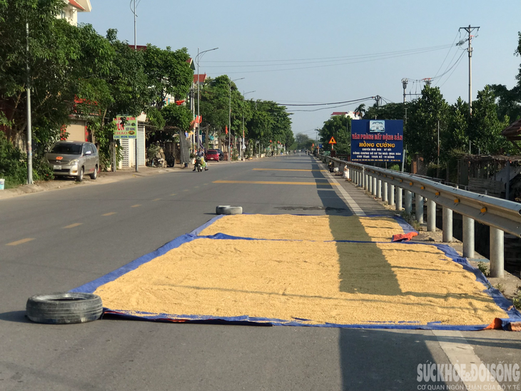 Người dân "tùy tiện" phơi thóc lúa trên đường, tiềm ẩn nhiều nguy hiểm - Ảnh 9. Người dân "tùy tiện" phơi thóc lúa trên đường, tiềm ẩn nhiều nguy hiểm - Ảnh 9.
