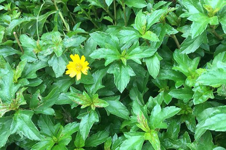 photo-1686492977390