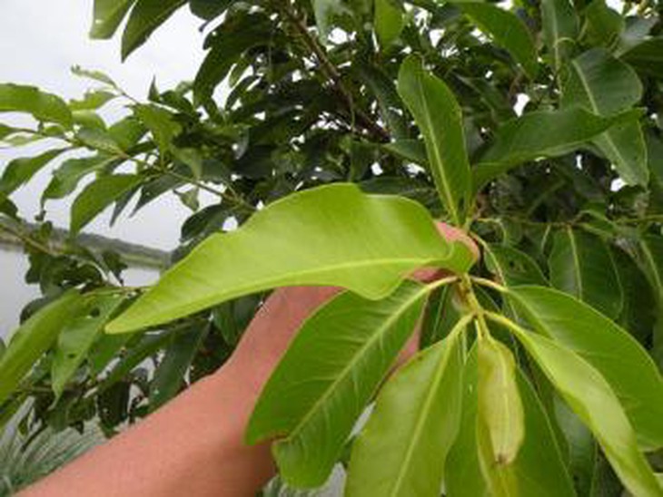 photo-1686560692165