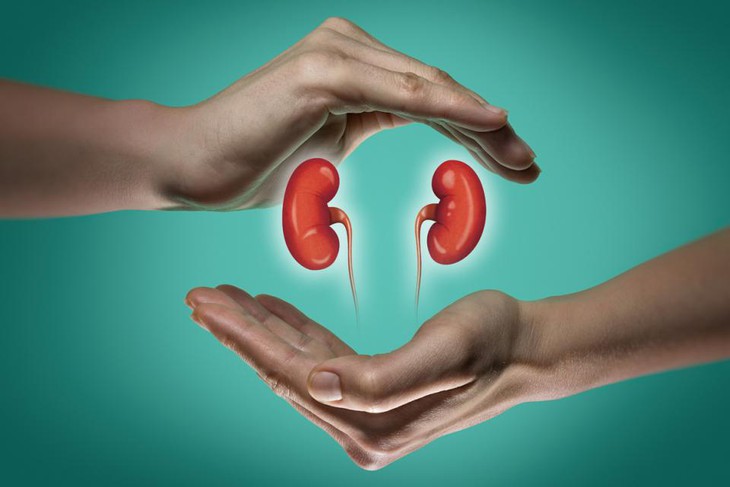 Sỏi thận điều trị như nào? - Ảnh 1.