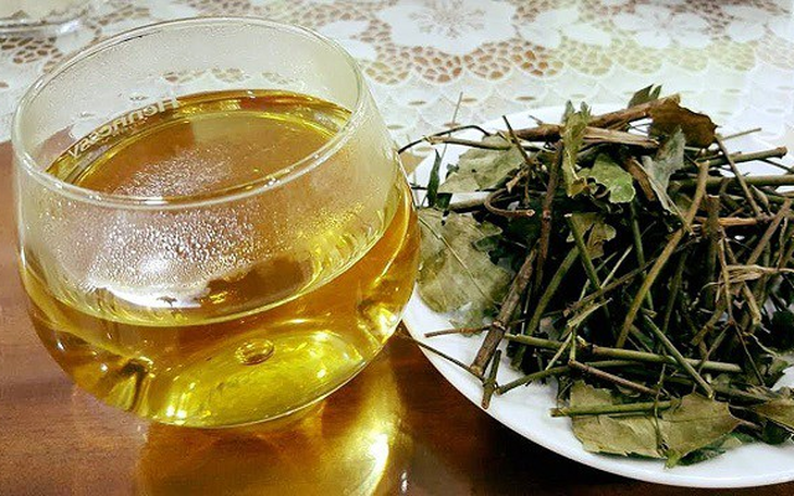 Uống nước lá vối có làm 