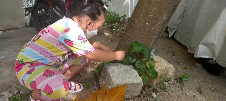Nhiều tỉnh Nam Trung Bộ có ca mắc sốt xuất huyết tăng nhanh, phụ huynh hãy dạy con cách diệt muỗi - Ảnh 3. Nhiều tỉnh Nam Trung Bộ có ca mắc sốt xuất huyết tăng nhanh, phụ huynh hãy dạy con cách diệt muỗi - Ảnh 3.