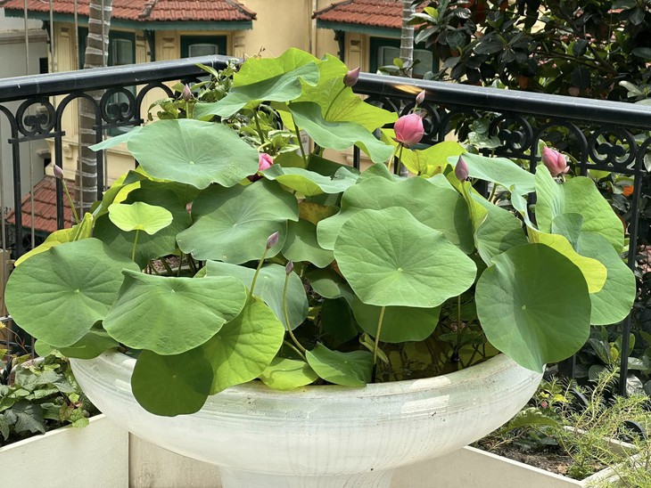 Nhan sắc tuổi 37 của Hoa hậu Nguyễn Thị Huyền - Ảnh 13.
