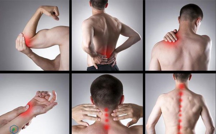 Phương thuốc quý cho người bị thoái hoá xương khớp - Ảnh 1.