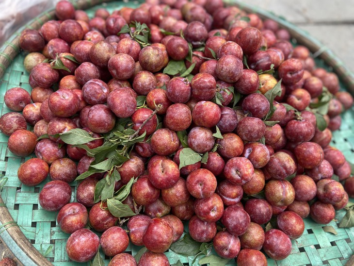 Hà Nội: Nhộn nhịp thị trường ngày cận Tết Đoan Ngọ - Ảnh 4.