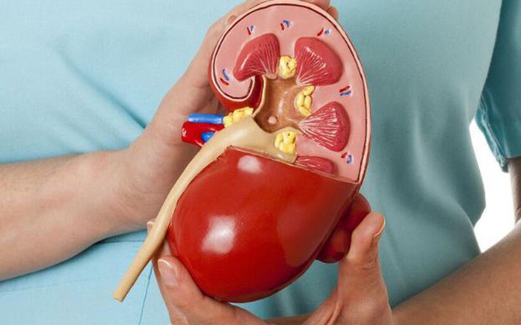 4 dấu hiệu cho thấy trẻ mắc hội chứng thận hư
