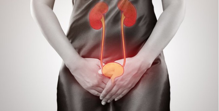 Hầu hết phụ nữ ai cũng sẽ bị nhiễm trùng tiết niệu ít nhất một lần trong đời, Một cảm giác đau đớn, bỏng rát, luôn luôn muốn đi tiểu. Ảnh minh hoạ