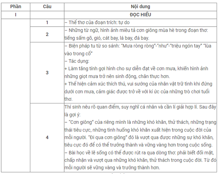 Gợi ý đáp án chi tiết đề thi môn Ngữ Văn tốt nghiệp THPT 2023 - Ảnh 1.