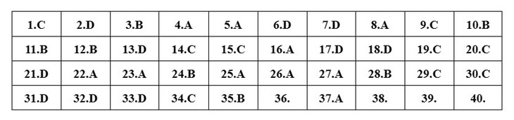Gợi ý đáp án môn Vật lý tốt nghiệp THPT 2023 - Ảnh 1.