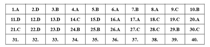 Gợi ý đáp án môn Vật lý tốt nghiệp THPT 2023 - Ảnh 3.