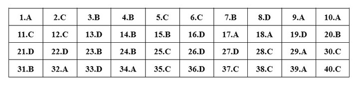 Gợi ý đáp án môn Vật lý tốt nghiệp THPT 2023 - Ảnh 4.