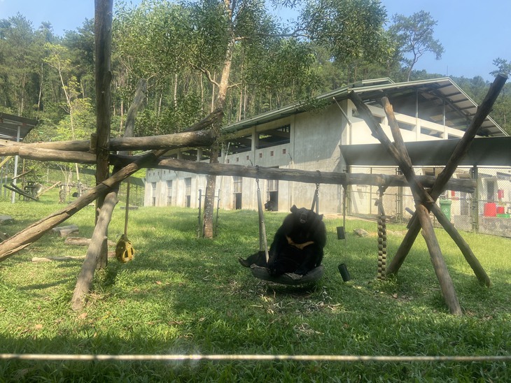 Ghé thăm nơi hồi sinh của những chú gấu bất hạnh - Ảnh 1.