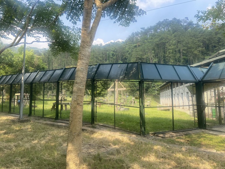 Ghé thăm nơi hồi sinh của những chú gấu bất hạnh - Ảnh 4.