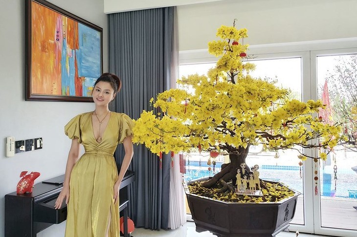 Trước Vũ Thu Phương nhiều sao Việt từng 'điêu đứng' vì bị trộm đột nhập 'cuỗm' hàng tỷ đồng - Ảnh 1.
