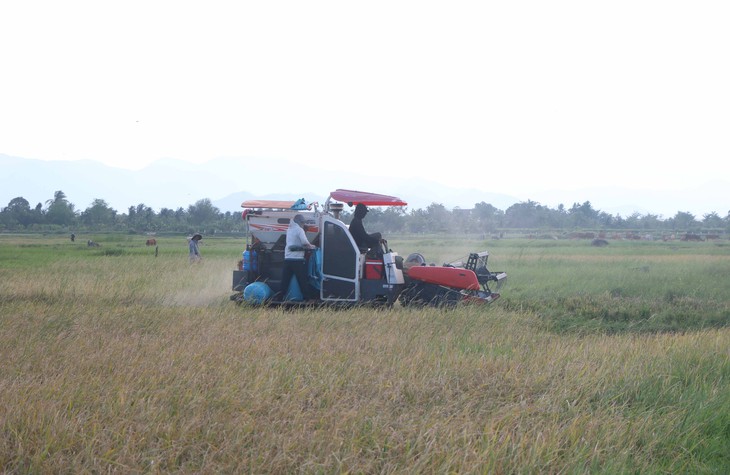 Hồi sinh những vùng đất khô khát - Ảnh 1.