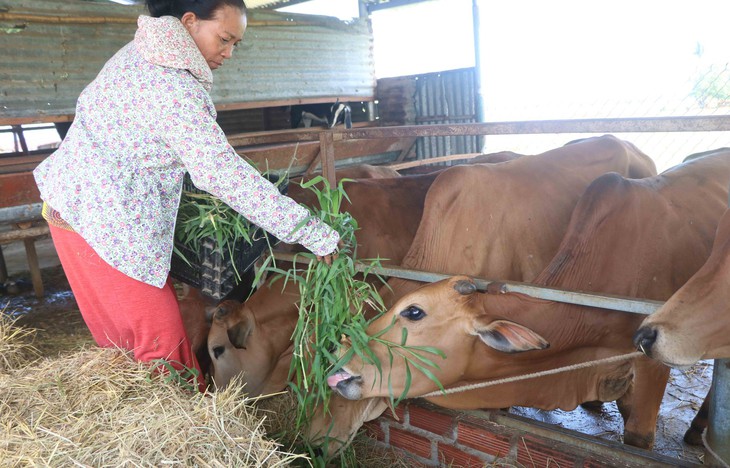 Hồi sinh những vùng đất khô khát - Ảnh 3.