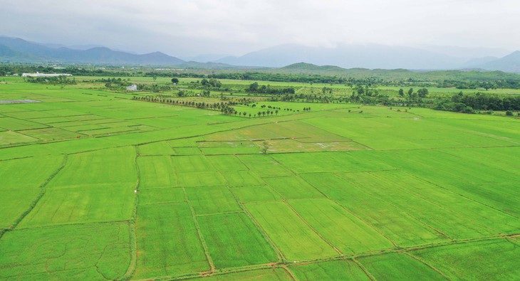 Hồi sinh những vùng đất khô khát - Ảnh 4.
