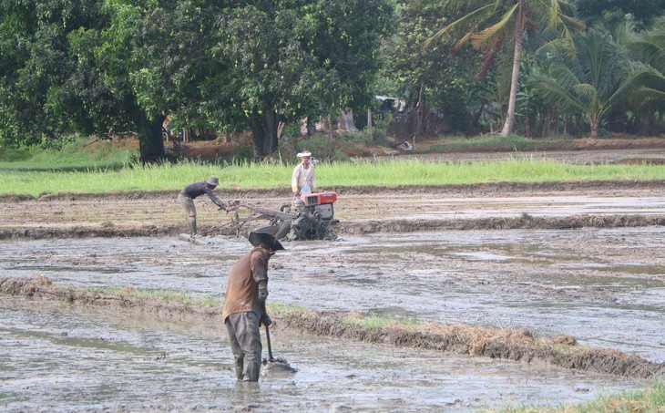 Hồi sinh những vùng đất khô khát - Ảnh 5.