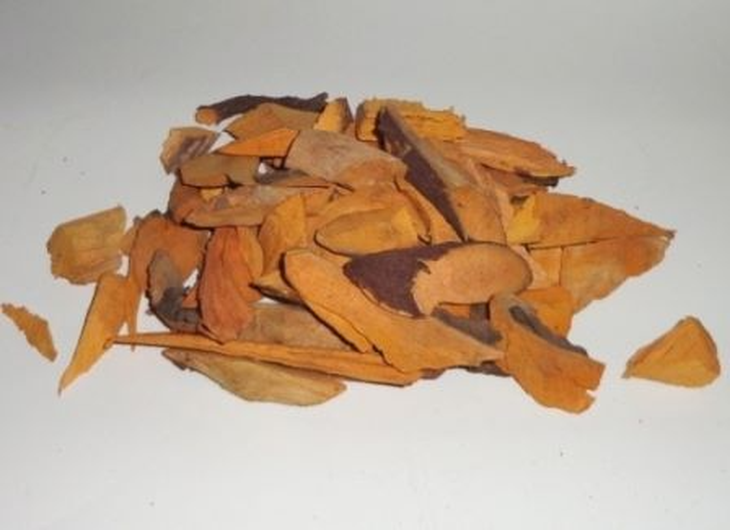 Cây nhàu – chữa tăng huyết áp, ho, nhuận tràng - Ảnh 4. Cây nhàu – chữa tăng huyết áp, ho, nhuận tràng - Ảnh 4.