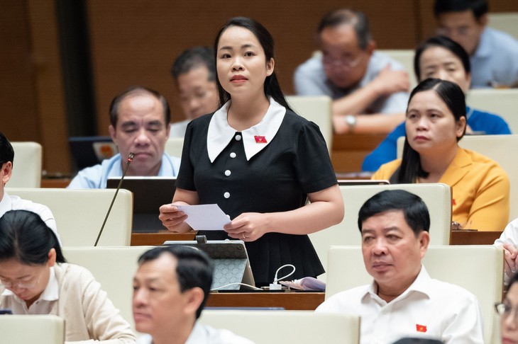 Phó Thủ tướng Lê Minh Khái trả lời chất vấn các ĐBQH liên quan đến loạt vấn đề 'nóng' - Ảnh 5.