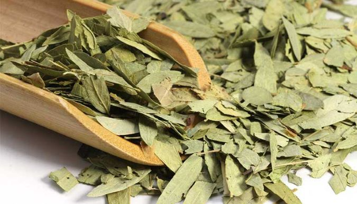 Phan tả diệp chữa táo bón – dùng thế nào cho đúng? - Ảnh 2.