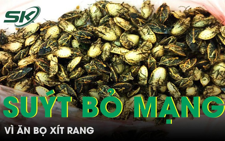 Ngộ độc nặng, suýt bỏ mạng vì ăn bọ xít rang