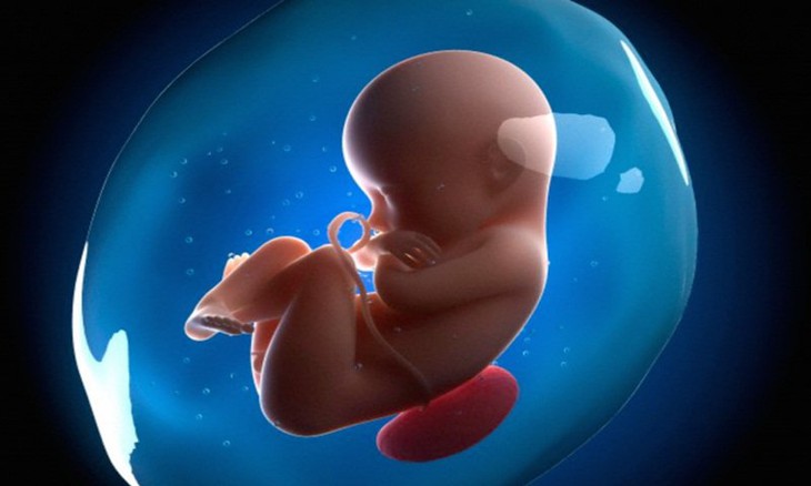 Lợi ích sức khỏe của nước dừa cho mẹ bầu - Ảnh 4. Lợi ích sức khỏe của nước dừa cho mẹ bầu - Ảnh 4.