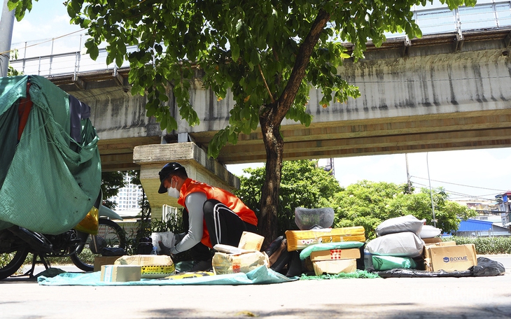 Nhọc nhằn mưu sinh từ công việc phân loại cá biển - Ảnh 5.