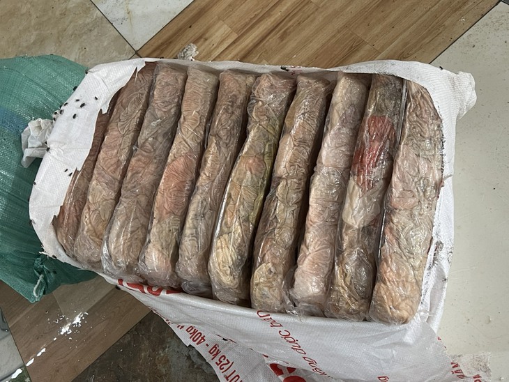 Kinh hoàng 2,3 tấn lòng lợn, mỡ lợn màu xanh, màu đen bốc mùi hôi thối đang sơ chế chuẩn bị bán ra thị trường - Ảnh 2. Kinh hoàng 2,3 tấn lòng lợn, mỡ lợn màu xanh, màu đen bốc mùi hôi thối đang sơ chế chuẩn bị bán ra thị trường - Ảnh 2.