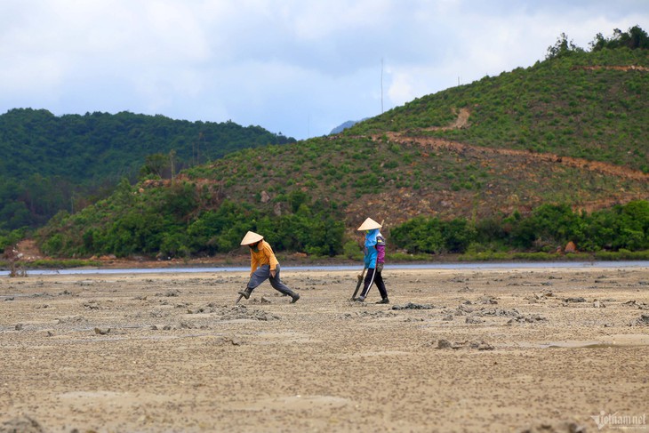 Miệt mài đào 'mì chính nhà giàu', chị em phấn khởi kiếm tiền triệu mỗi ngày - Ảnh 1. Miệt mài đào 'mì chính nhà giàu', chị em phấn khởi kiếm tiền triệu mỗi ngày - Ảnh 1.