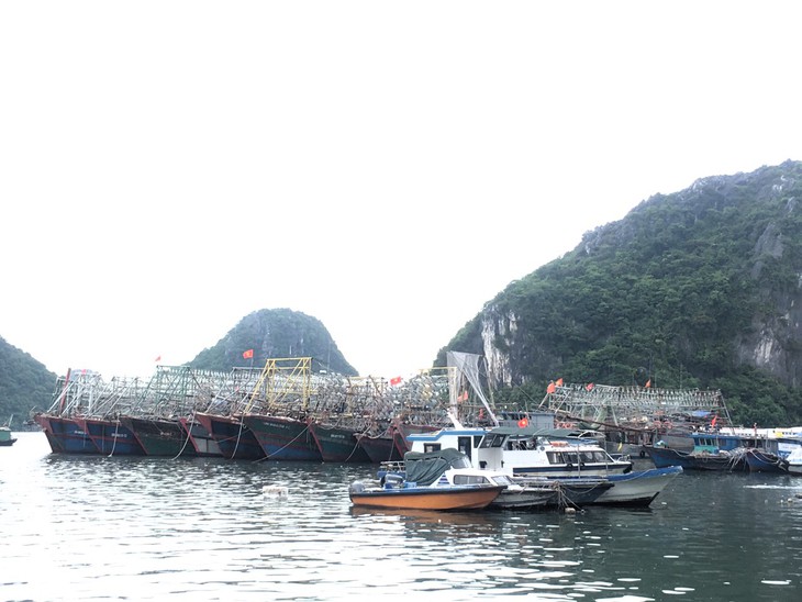 Quảng Ninh sẵn sàng ứng phó với cơn bão số 1 - Ảnh 2. Quảng Ninh sẵn sàng ứng phó với cơn bão số 1 - Ảnh 2.