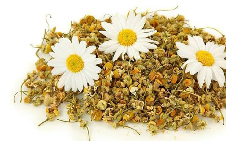 Món ăn bài thuốc hỗ trợ điều trị chóng mặt