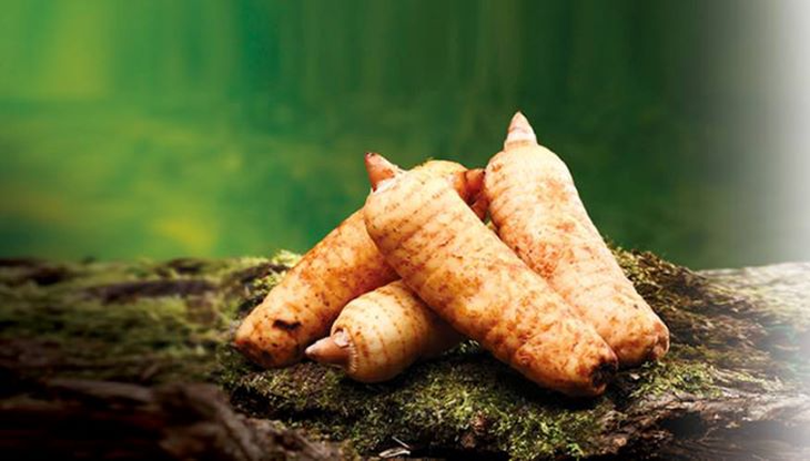 Món ăn bài thuốc hỗ trợ điều trị chóng mặt - Ảnh 2.