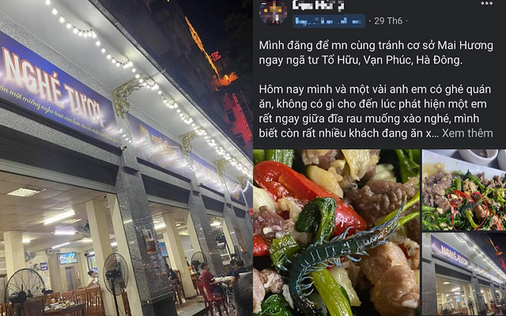 Hà Nội: Kiểm tra nhà hàng Mai Hương sau thông tin con rết xuất hiện trong đĩa rau muống xào, phát hiện chuột ở nơi chế xuất thực phẩm