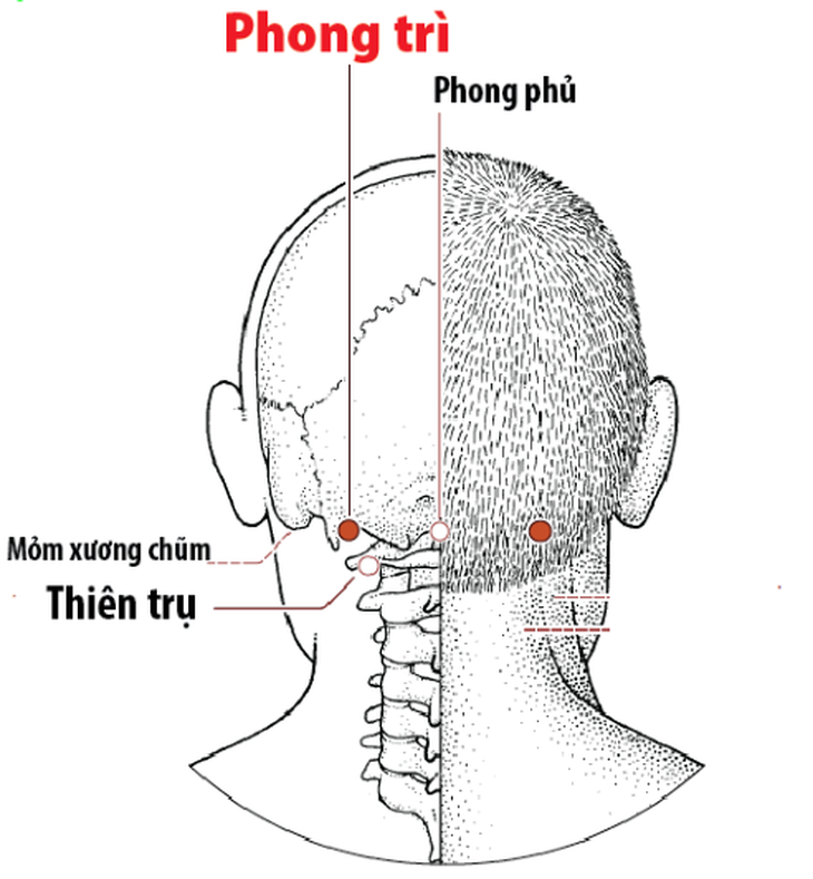 4 huyệt vị làm giảm chứng chóng mặt - Ảnh 4.
