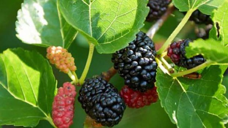photo-1689693054916