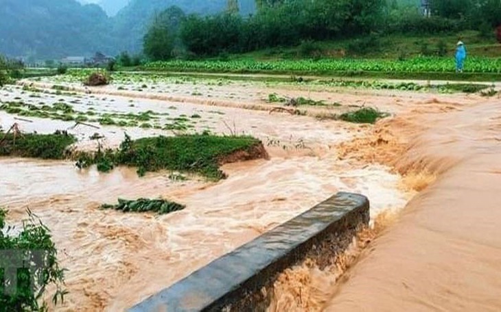 Cảnh báo mưa lũ lớn, sạt lở đất tại nhiều địa phương, người dân phải làm gì?