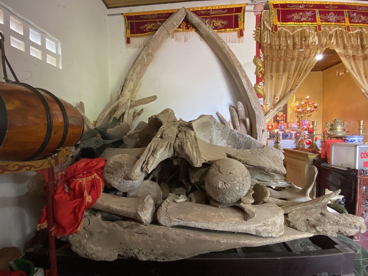 Những điều thú vị ở "Làng cá voi" - Ảnh 5.