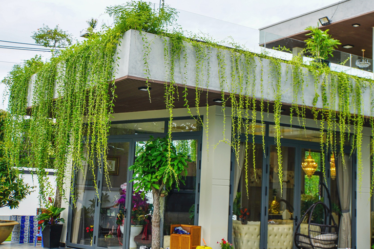 Villa 1.200m2 trị giá 35 tỷ đồng của ca sĩ 5 con Quách Thành Danh - Ảnh 4. Villa 1.200m2 trị giá 35 tỷ đồng của ca sĩ 5 con Quách Thành Danh - Ảnh 4.