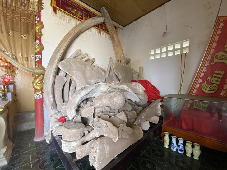 Những điều thú vị ở "Làng cá voi" - Ảnh 2.