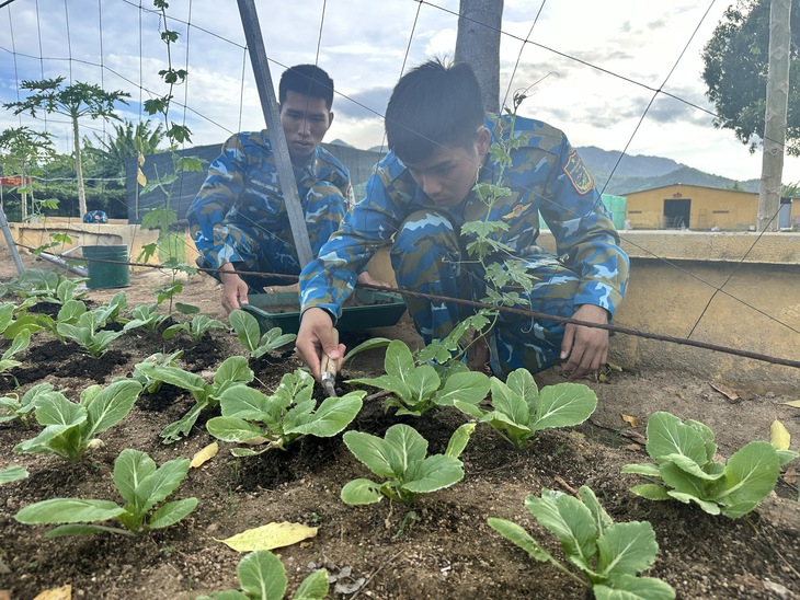 Bộ đội Thông tin tăng gia sản xuất bằng… “giun” và “sâu canxi” - Ảnh 3.