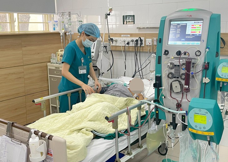 Cả gia đình nhập viện sau ăn nấm rừng - Ảnh 1.