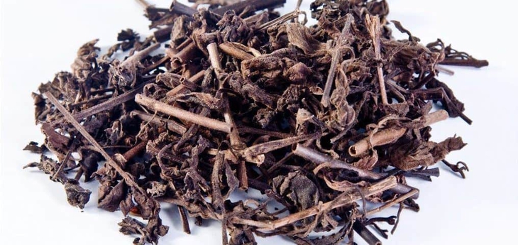 Nhân trần trị viêm gan cấp và mạn tính - Ảnh 5. Nhân trần trị viêm gan cấp và mạn tính - Ảnh 5.