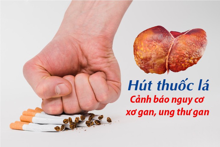 Hút thuốc lá có ảnh hưởng đến gan không? - Ảnh 1.