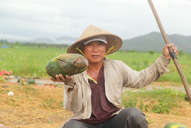 Xót xa hàng nghìn quả dưa hấu thối rữa, vứt lăn lóc - Ảnh 4.