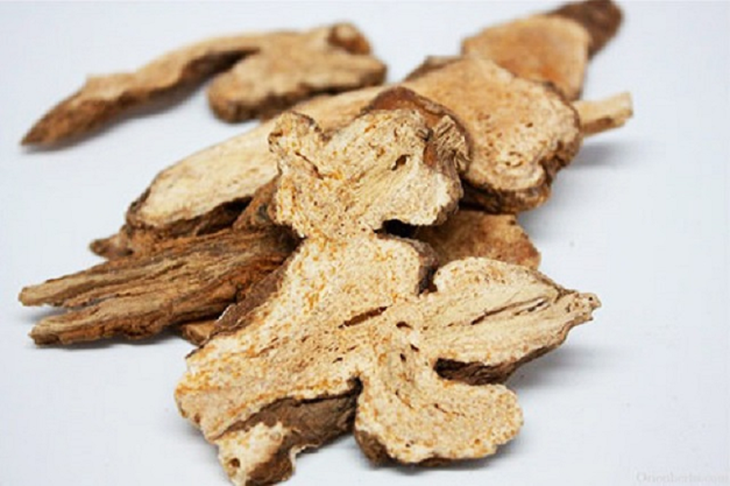 Dược thiện có bạch truật - Ảnh 2.